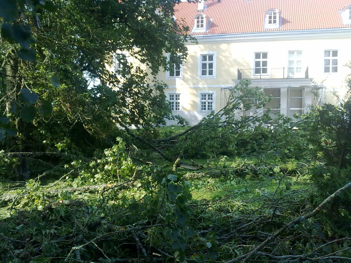 Kiltsi mõisapark Lääne-Virumaal
