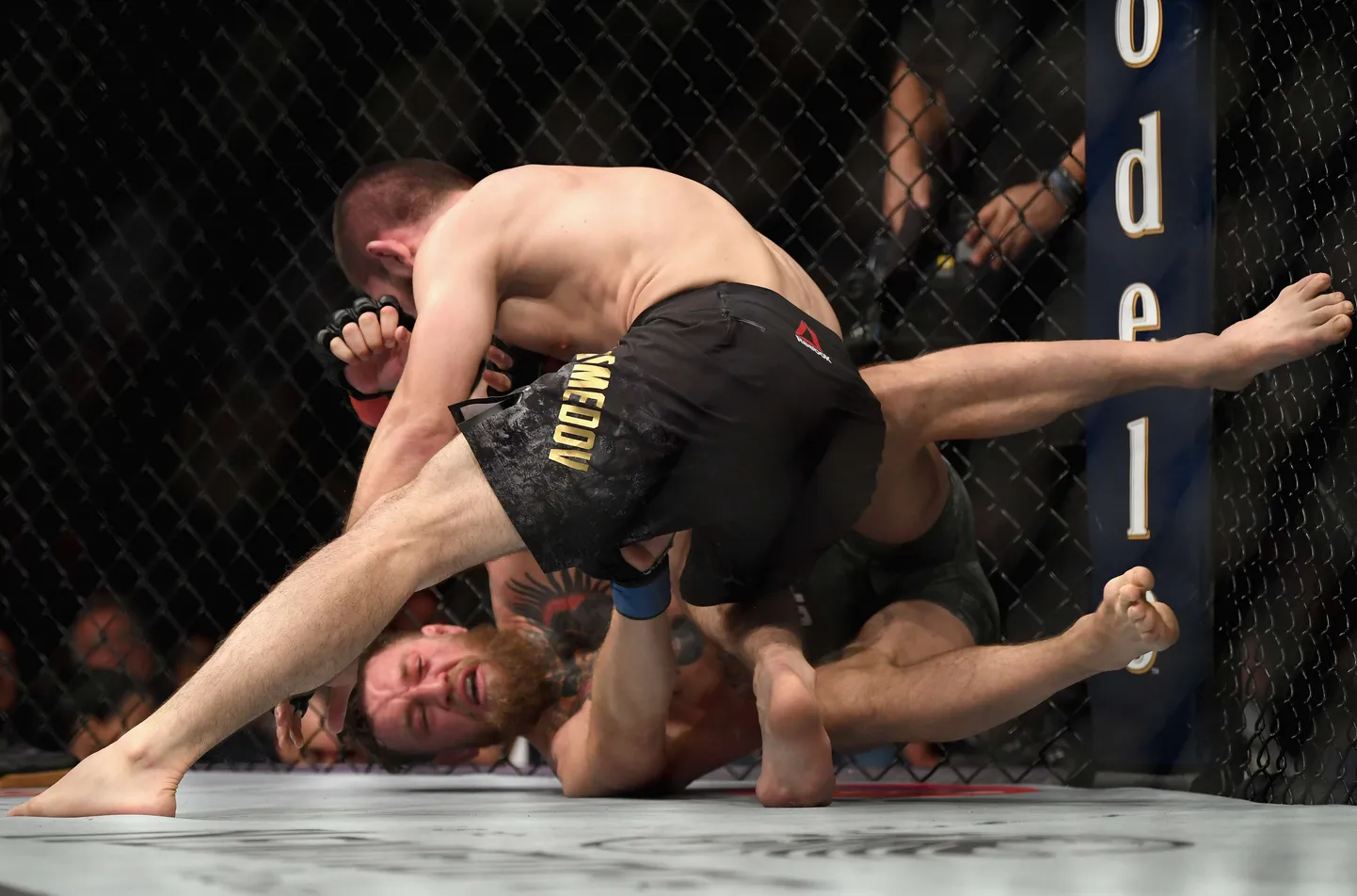 Habib Nurmagomedov vs. Conor McGregor.