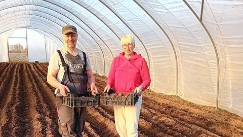 Tartumaal hakkab kartuli kasvatamine aprilli alguses