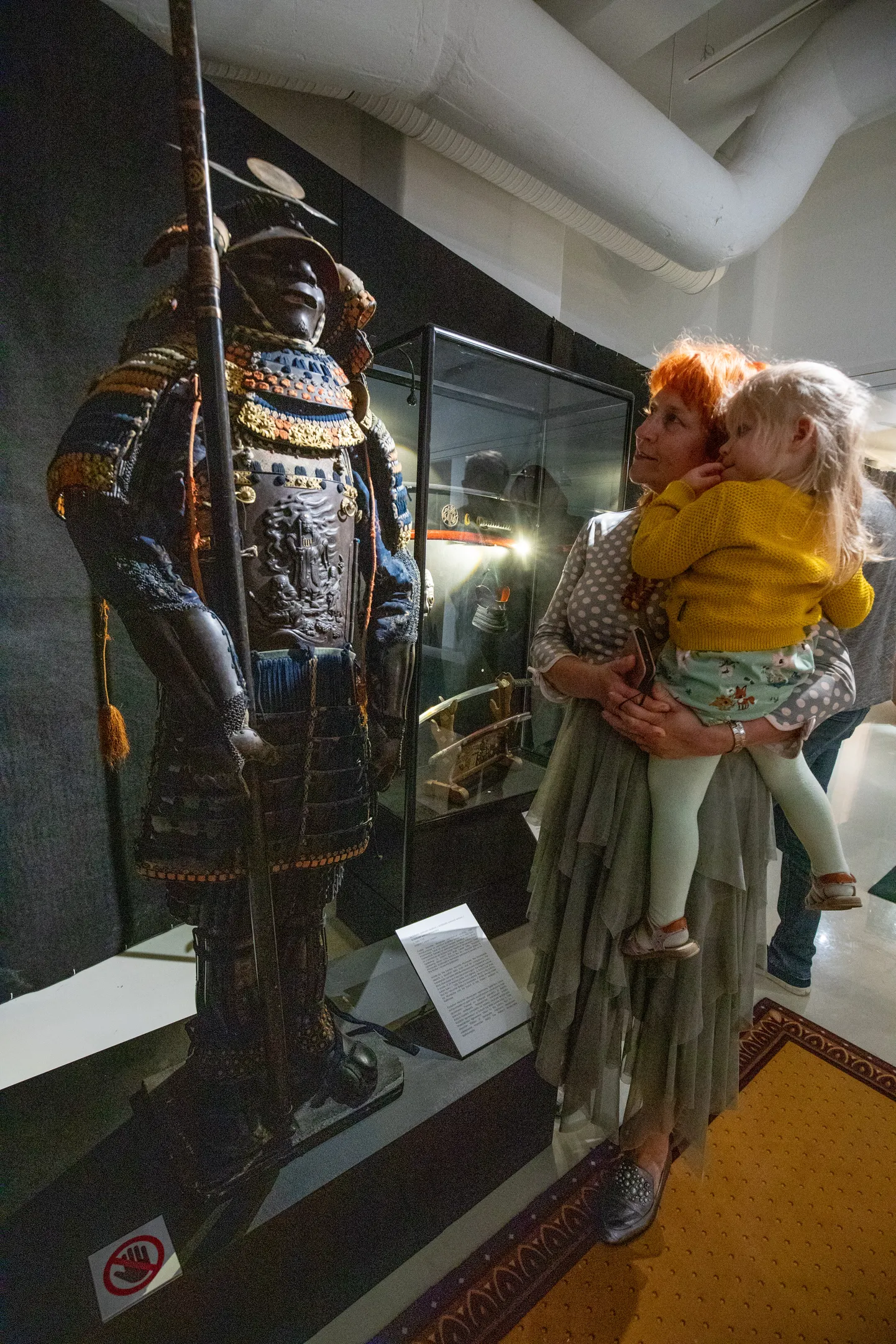 Pärnu muuseumis avatud näitusel “Kings and Guards” saab näha ajaloolisi sõjariistu.