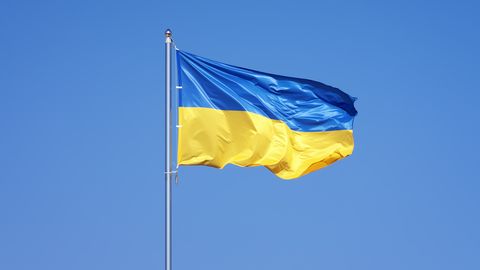 Rus v Estoniji oproščen obtožb o oskrunjenju, v Rusiji zaprt zaradi podpore Ukrajini