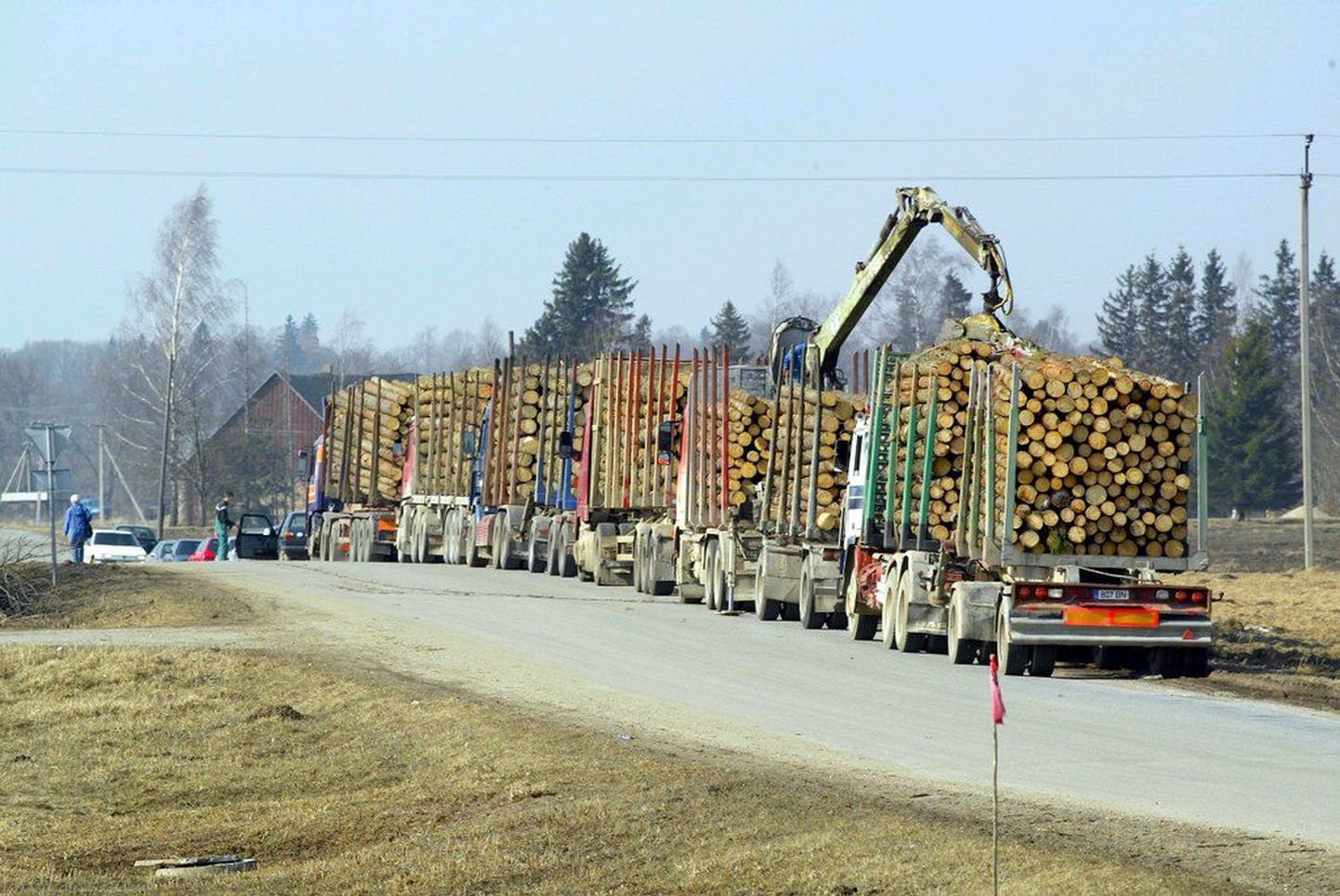 Puidu ja puidutoodete eksport oktoobris kasvas.