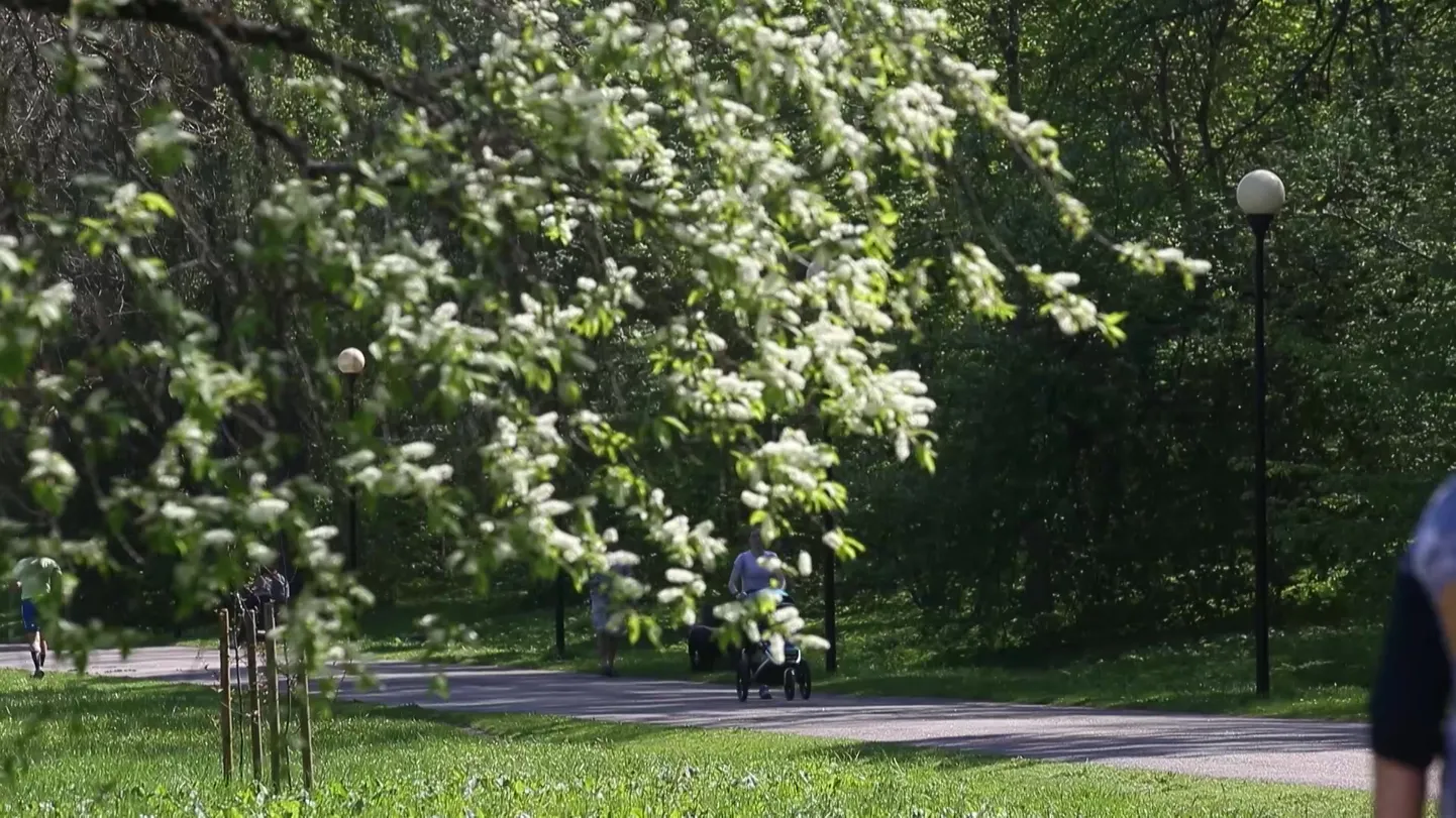 Kadrioru park