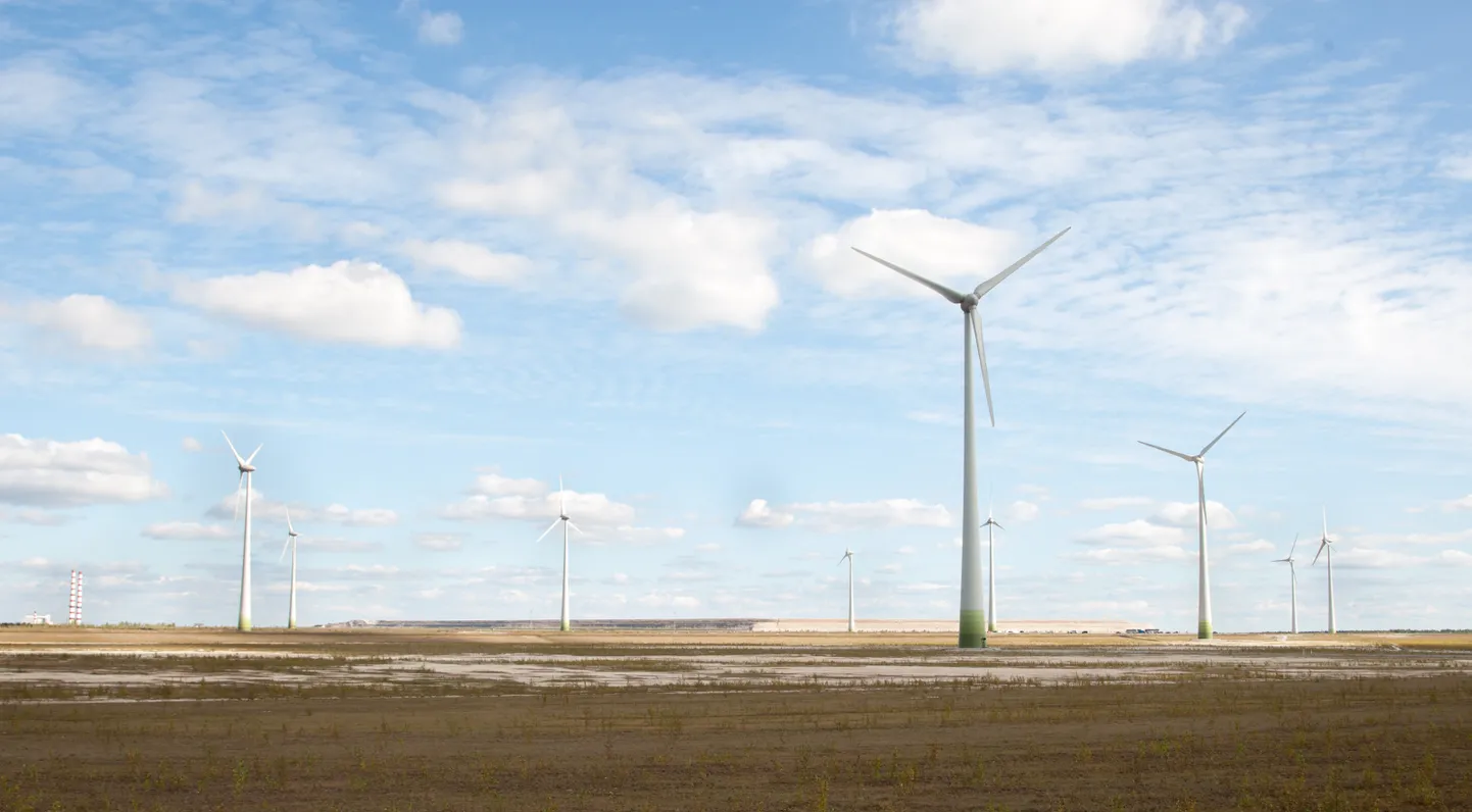 Ida-Virumaa suurim tuulepark, mille Eesti Energia rajas ligemale kümme aastat tagasi, asub Narva lähedal.