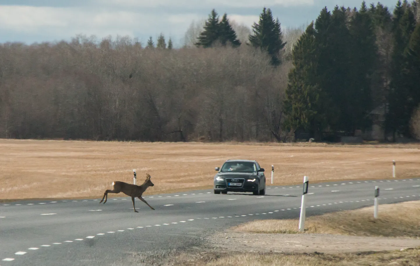 Lääne-Virumaa, Eesti.