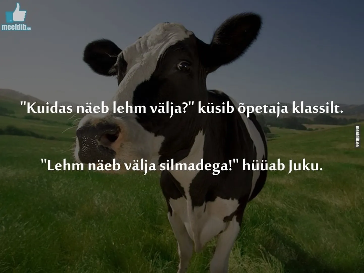 Artikli foto