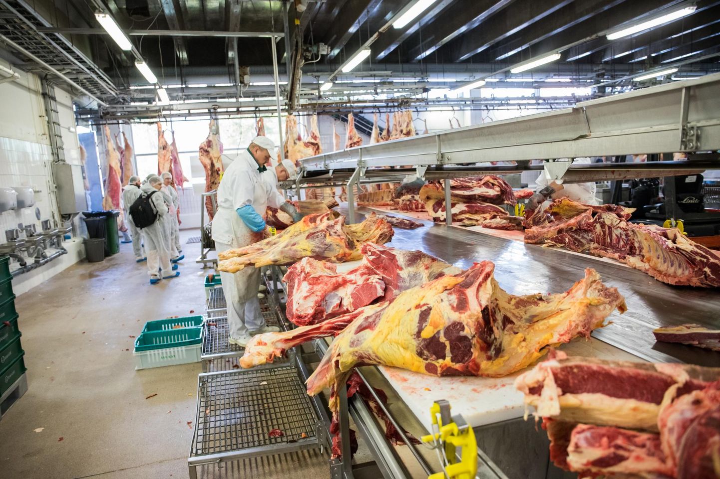 Rakvere lihakombinaadi töötajatel on jaanipäeva ajal käed tööd täis. Rakvere lihatööstuse toodang on jaanipäeval nõutud kaup.