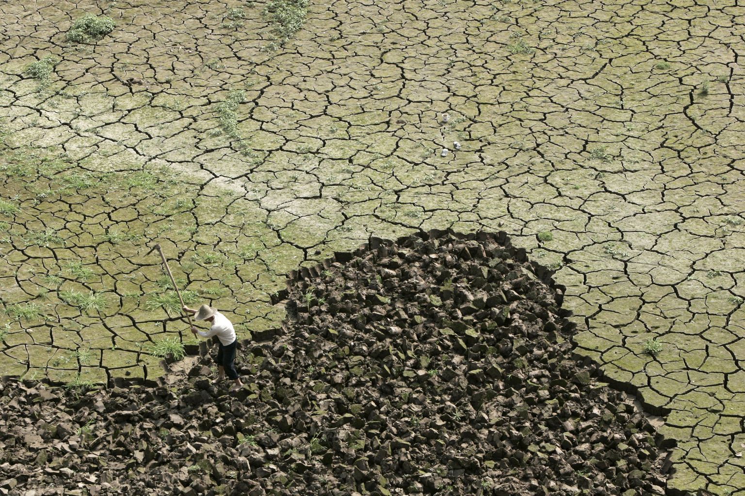 Kliimamuutus põhjustab Hiinas põuda: Chongqingi põllumees kobestab 2009. aasta kevadel ärakuivanud riisipõldu.