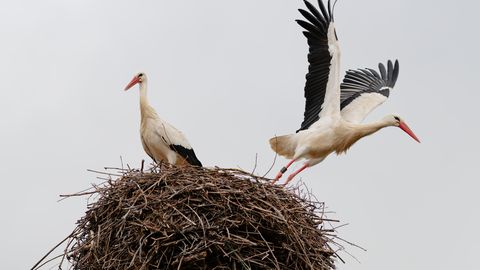 Gaidāma dzestra nakts; diena būs saulaina