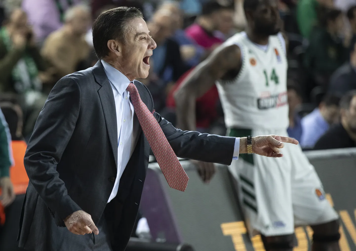 Rick Pitino töötas mõned aastad tagasi Ateena Panathinaikoses.