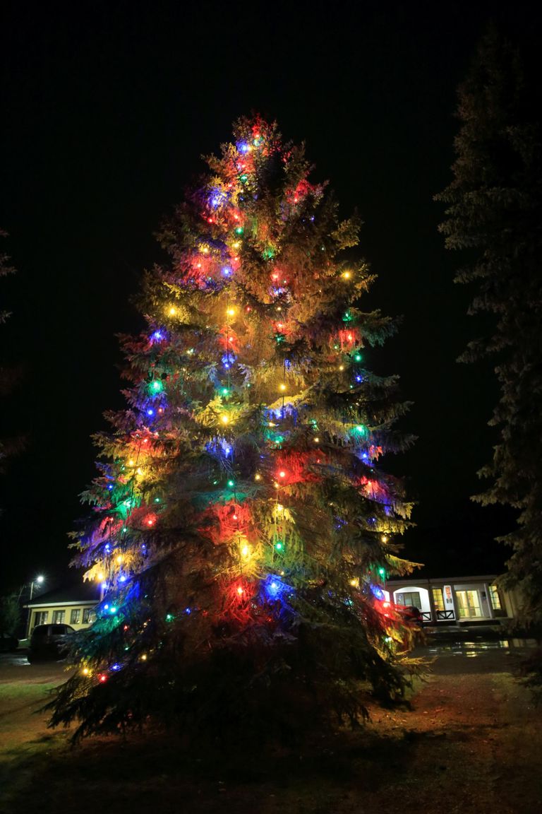 Kõrveküla jõulupuu kõrgub Tartu vallamaja ees ning on suurtest puudest ainus, mis ehitud värviliste tuledega.