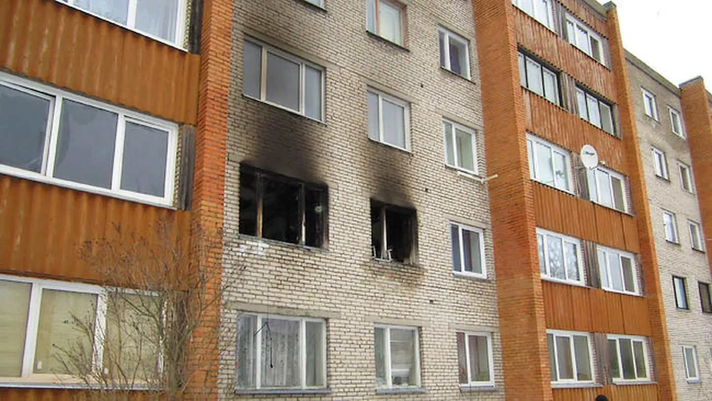 Фото статьи