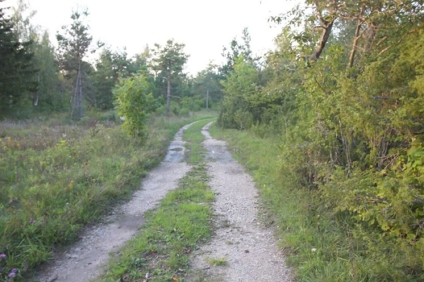Muratsis asuv Angerja kinnistu.