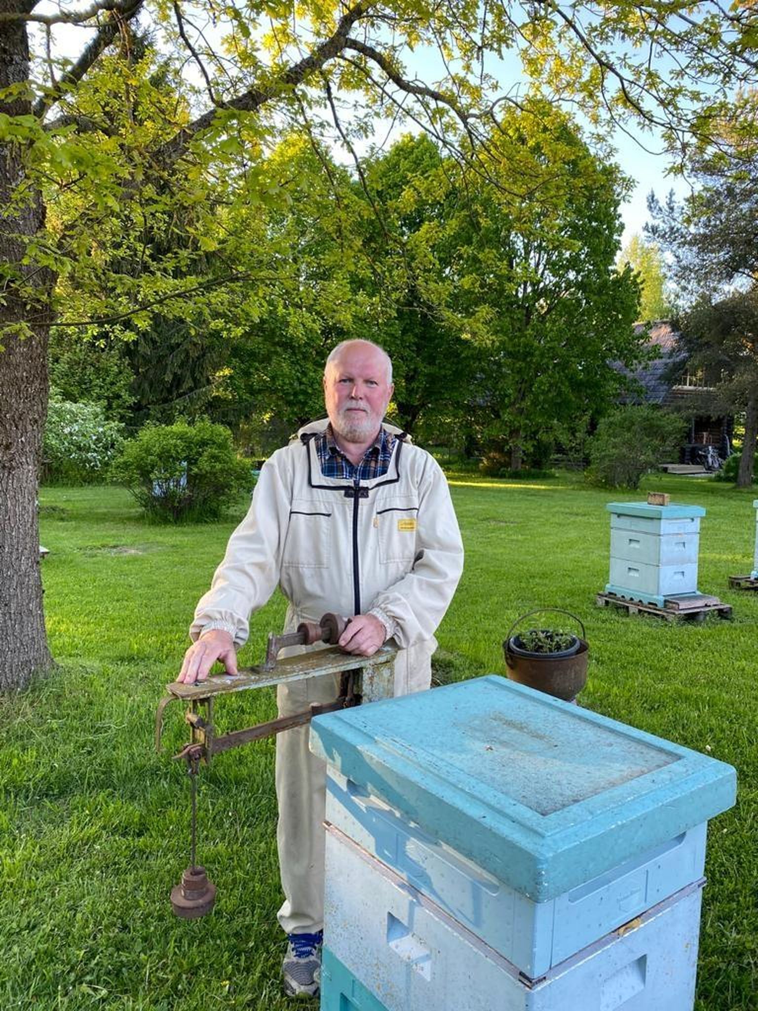 Üle 40 aasta mesinduses tegutseva Lembit Liini sõnul teist sellist kevadet pole tal olnud, kus juuni algul tuleb mesilasi veel toita.
