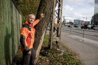 Arborist Heiki Hanso.
