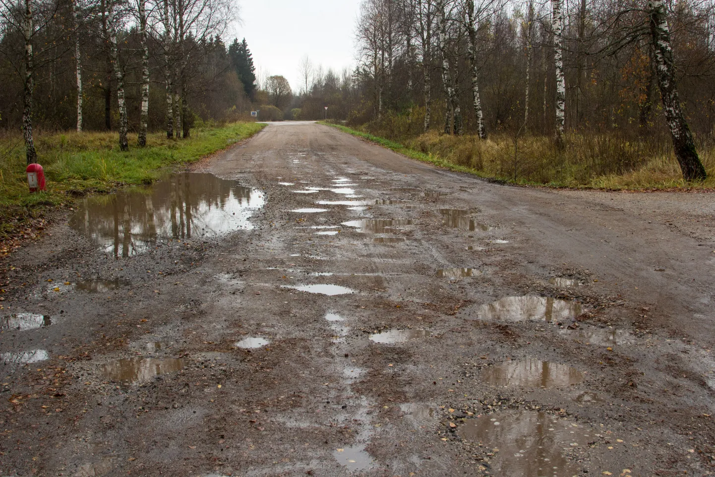 Suured sajud muutsid Saviaugu tänava selle nädala alguseks justkui aukude alleeks. Eile pärastlõunal oli olukord juba parem.