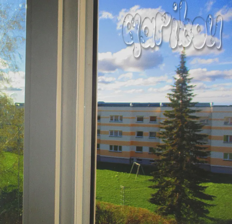 Qaribou on neljaliikmeline mitmekesiste juurtega indie'kas melomaanirokibänd.
