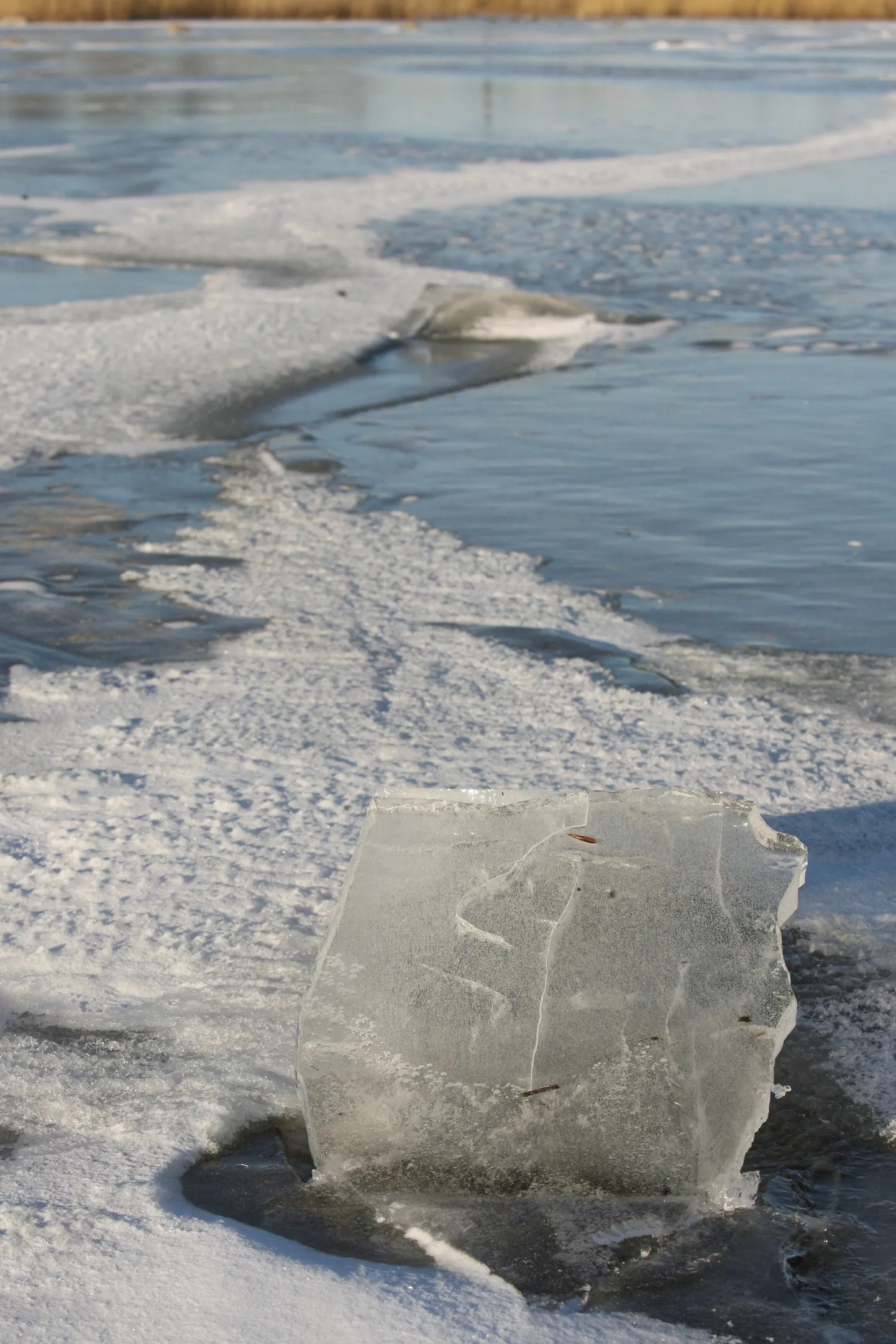 Peipsi järve jää veel inimest ei kanna