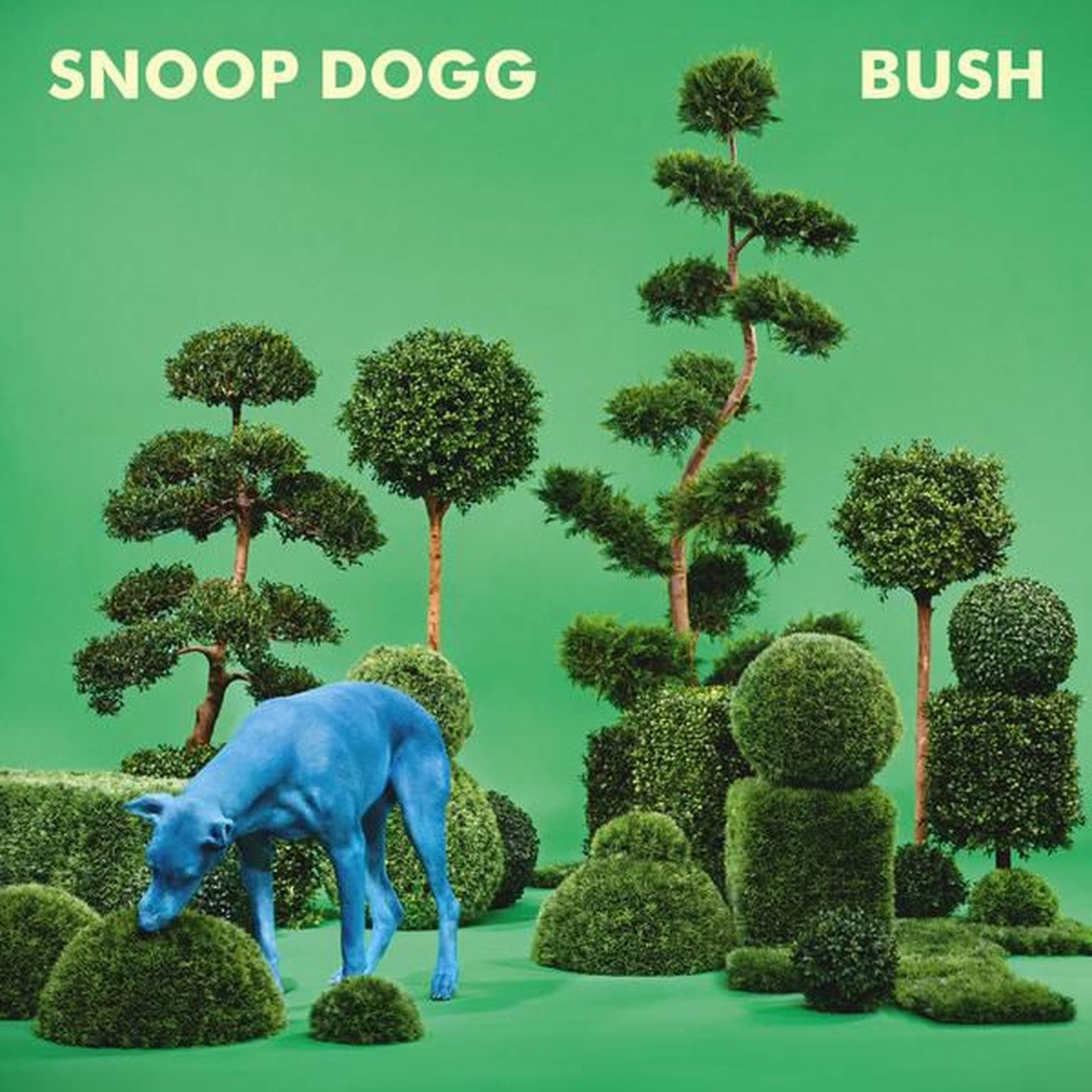 Snoop Dogg- Bush