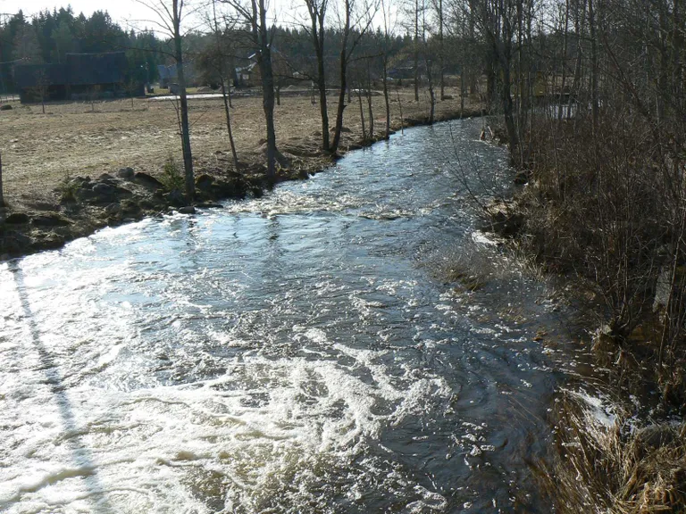 Lemmjõgi Võlli lähedal, aprill 2010.
