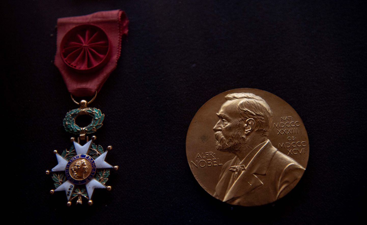 Nobeli preemia medal