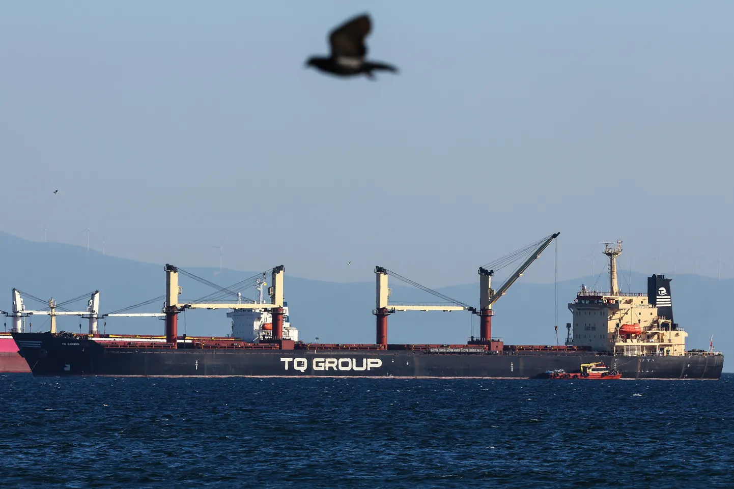 Корабль TQ Samsunhe под турецким флагом - последнее зерновое судно, покинувшее украинский порт с момента выхода России из Соглашения о зерновом коридоре