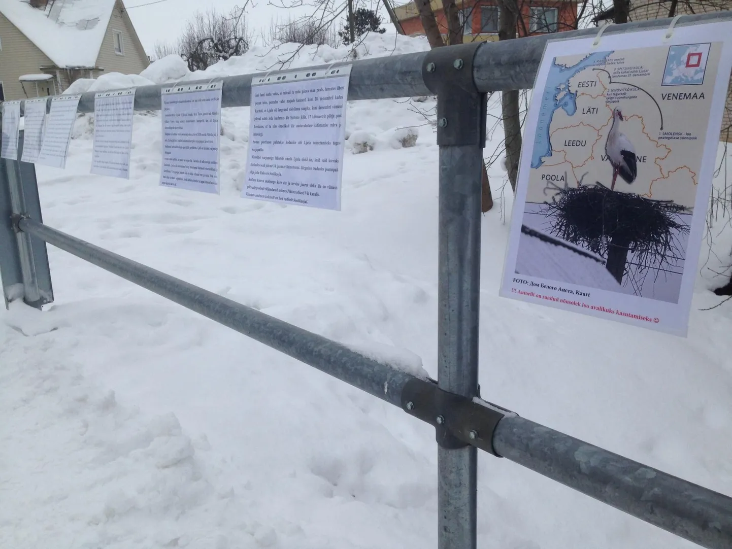 Soolikaoja Jüri lugu on nüüd avalik info, lugemiseks kõigile.