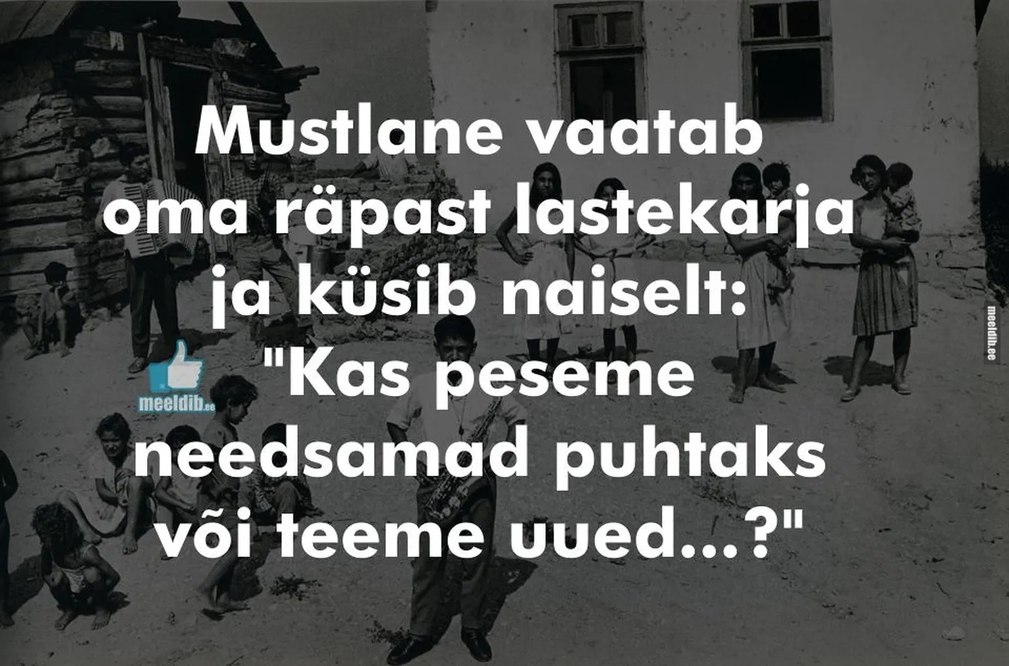Artikli foto