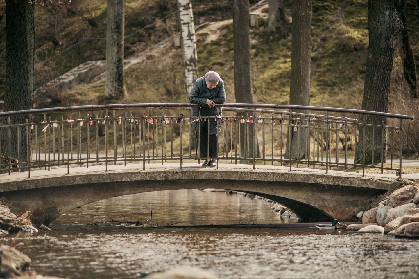 Пенсионерка на мосту
