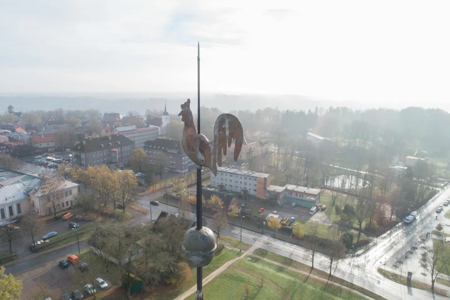 Nädala foto