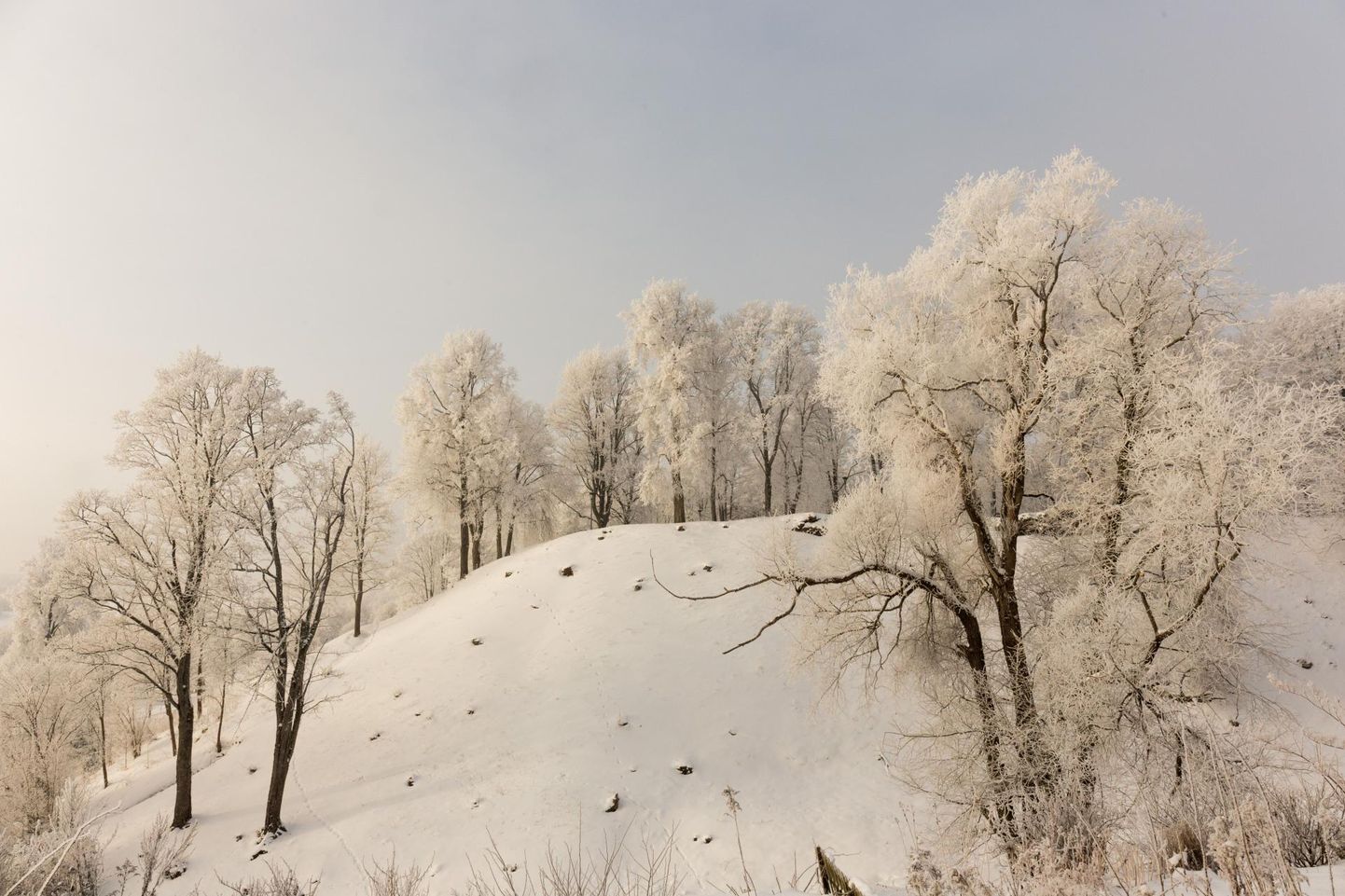 Talv Viljandi lossimägedes.