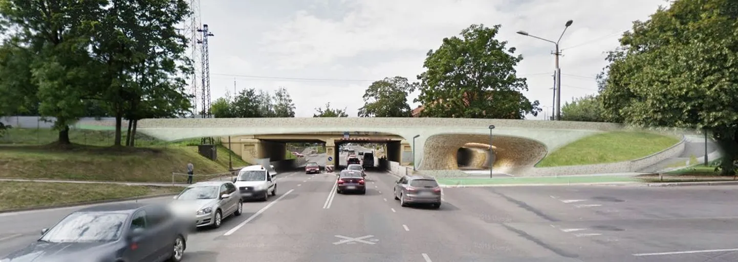 Kergliiklussilla ja -tunneli arhitektuurivõistluse võitis töö märgusõnaga „Sindlinahk“.