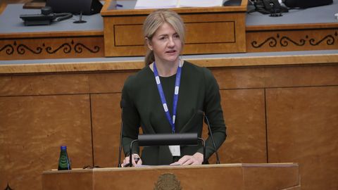 Kolm kommentaari Liimetsa välispoliitika aastakõnele