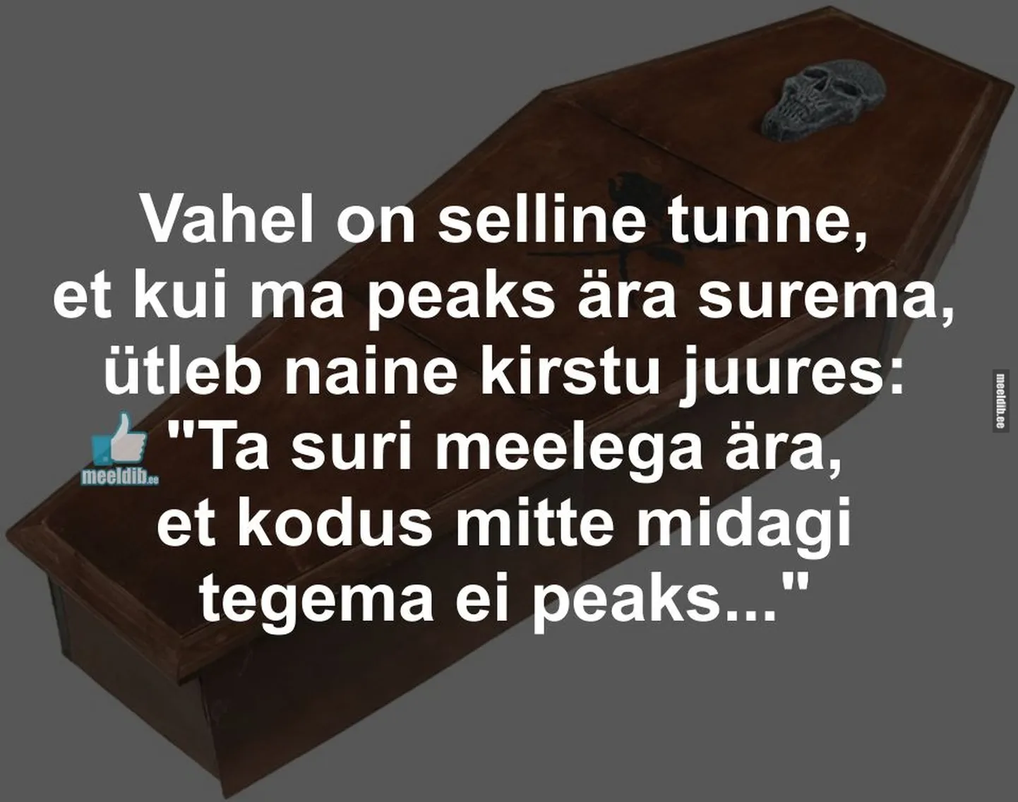 Artikli foto