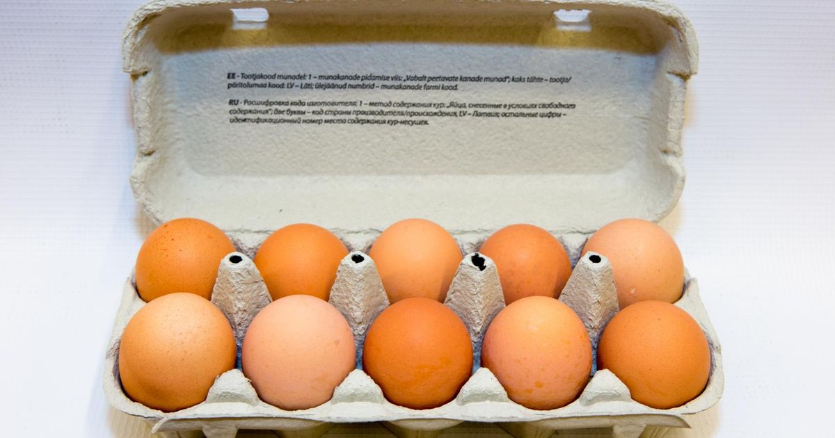 Poed varusid veokitäite viisi mune