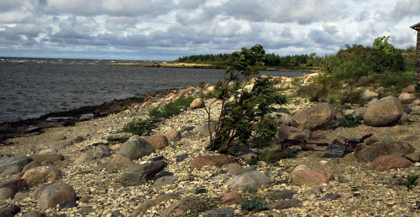 Lääne-Eestis vabaneb mere alt kogu aeg millimeeterhaaval uut maad. Pildil Kihnu rand. 
