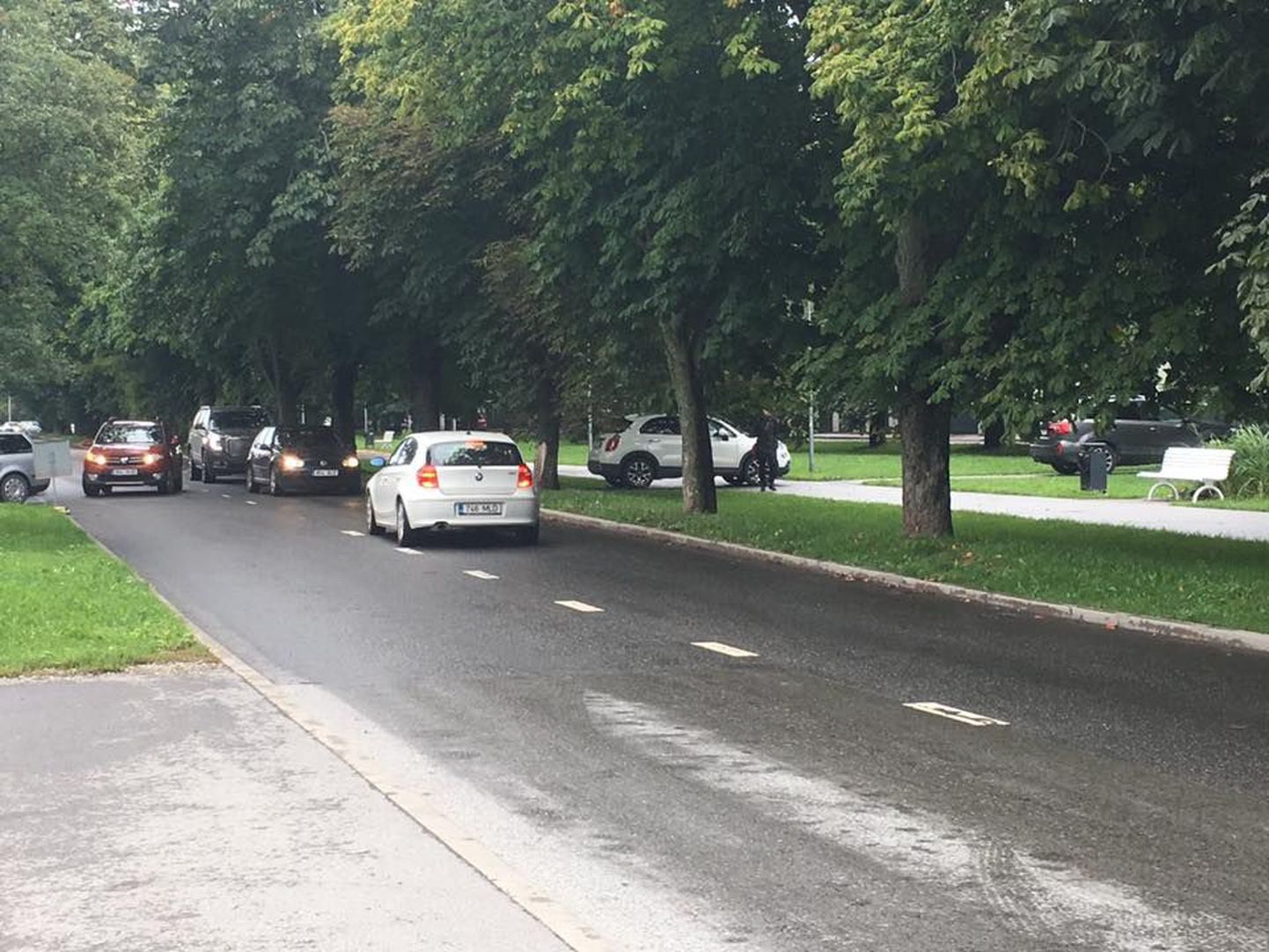 Житель Пельгулинна заметил, что в районе появились "новые автомобильные дороги" - водители едут по пешеходным дорогам.
