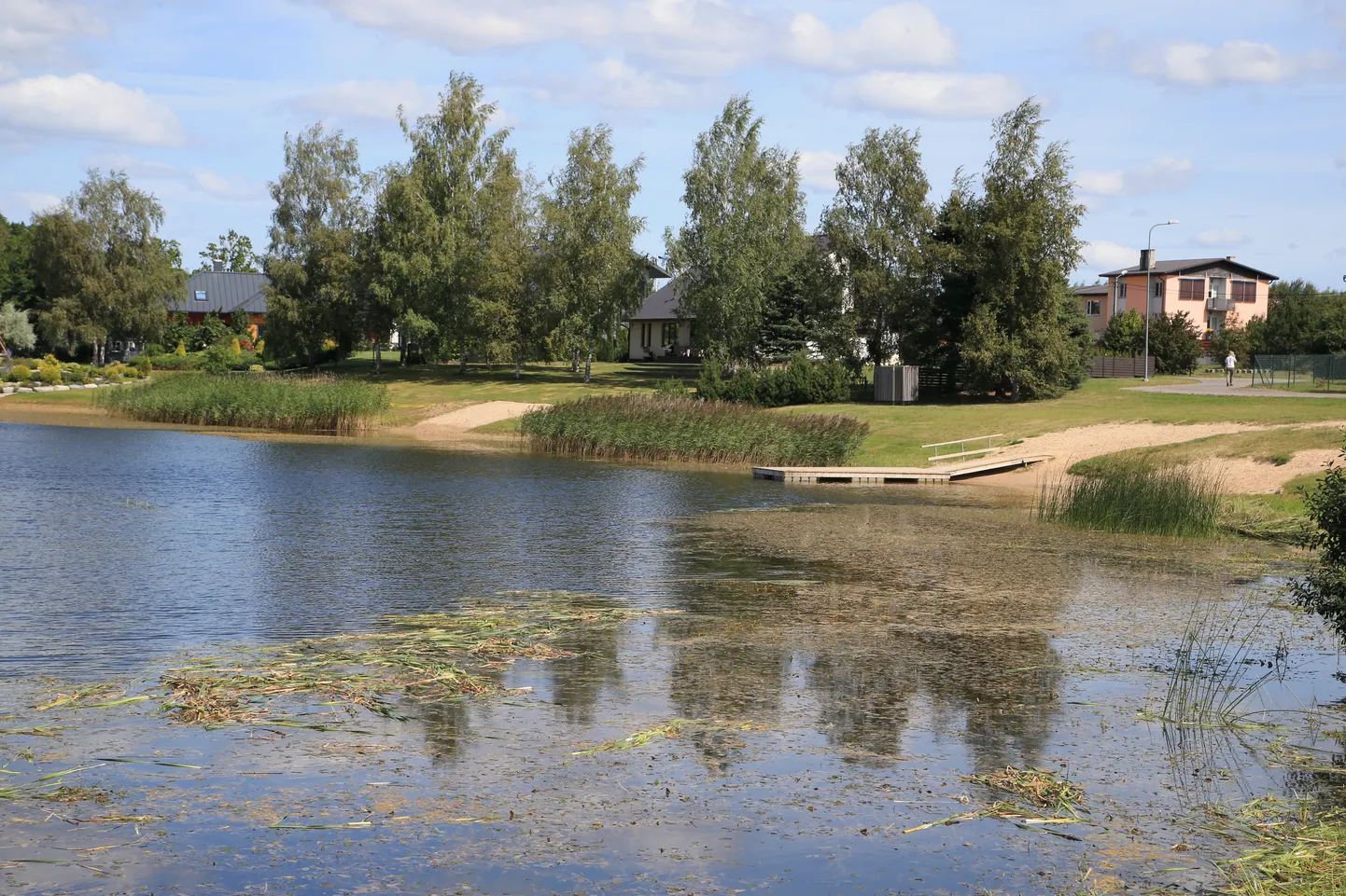 Pildil Kõrveküla järv.