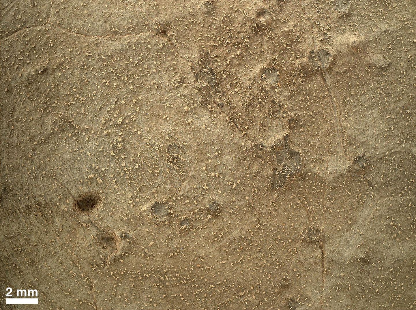 Curiosity leidis Marsilt «lille» ja «ussi»: fotol ala, kust need avastused tehti