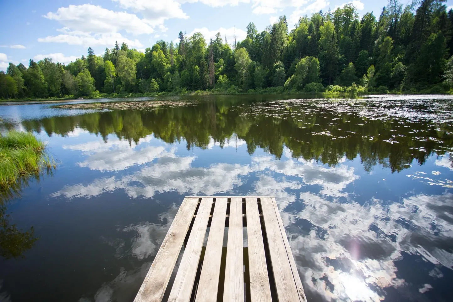 Talgupäeval korrastatakse kodulähedasi veekogusid.