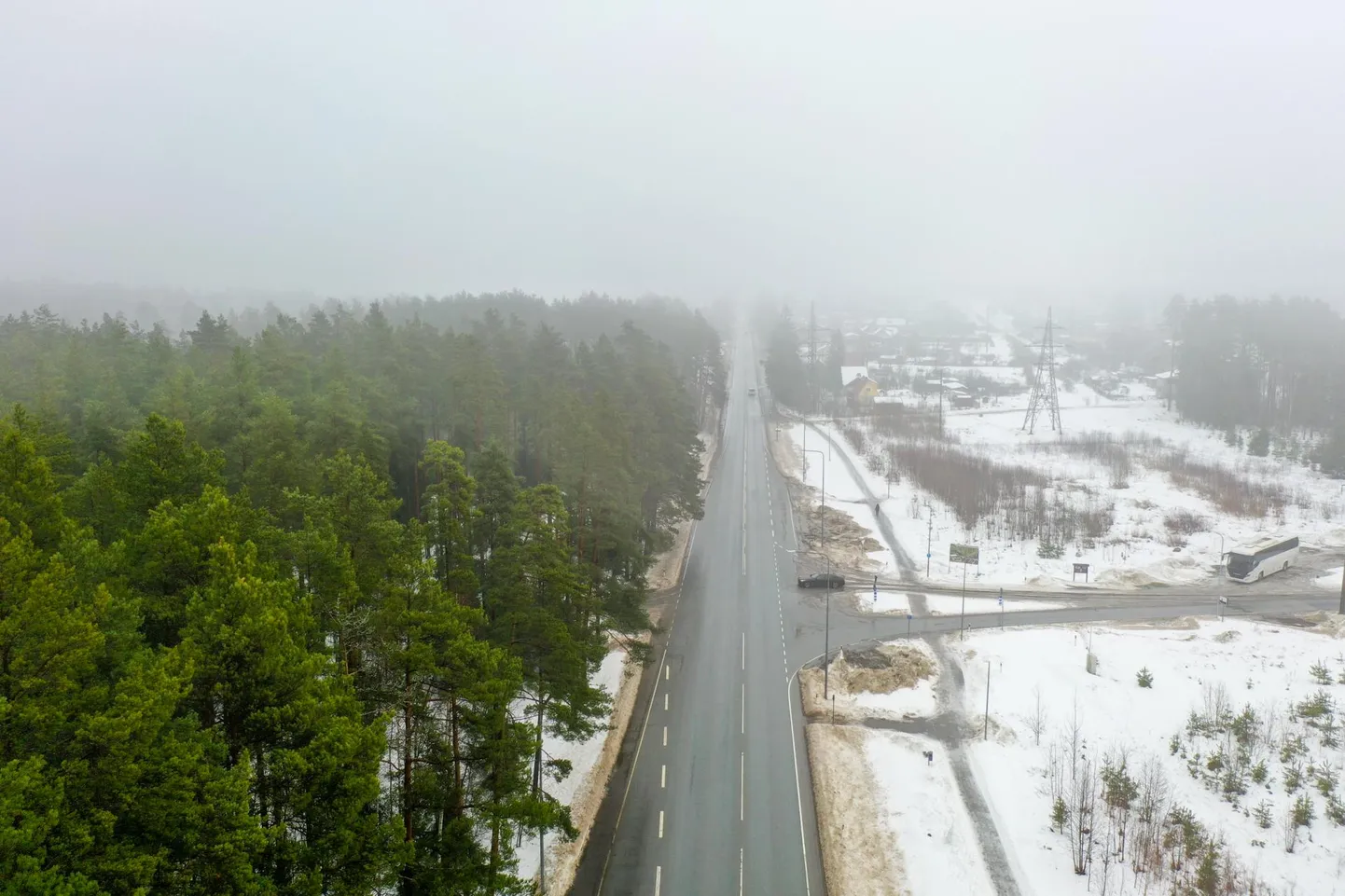Tammiste rahvas soovib, et kohalikud puhkemetsad kaitse alla võetaks, kuna pelgavad RMK raietöid.