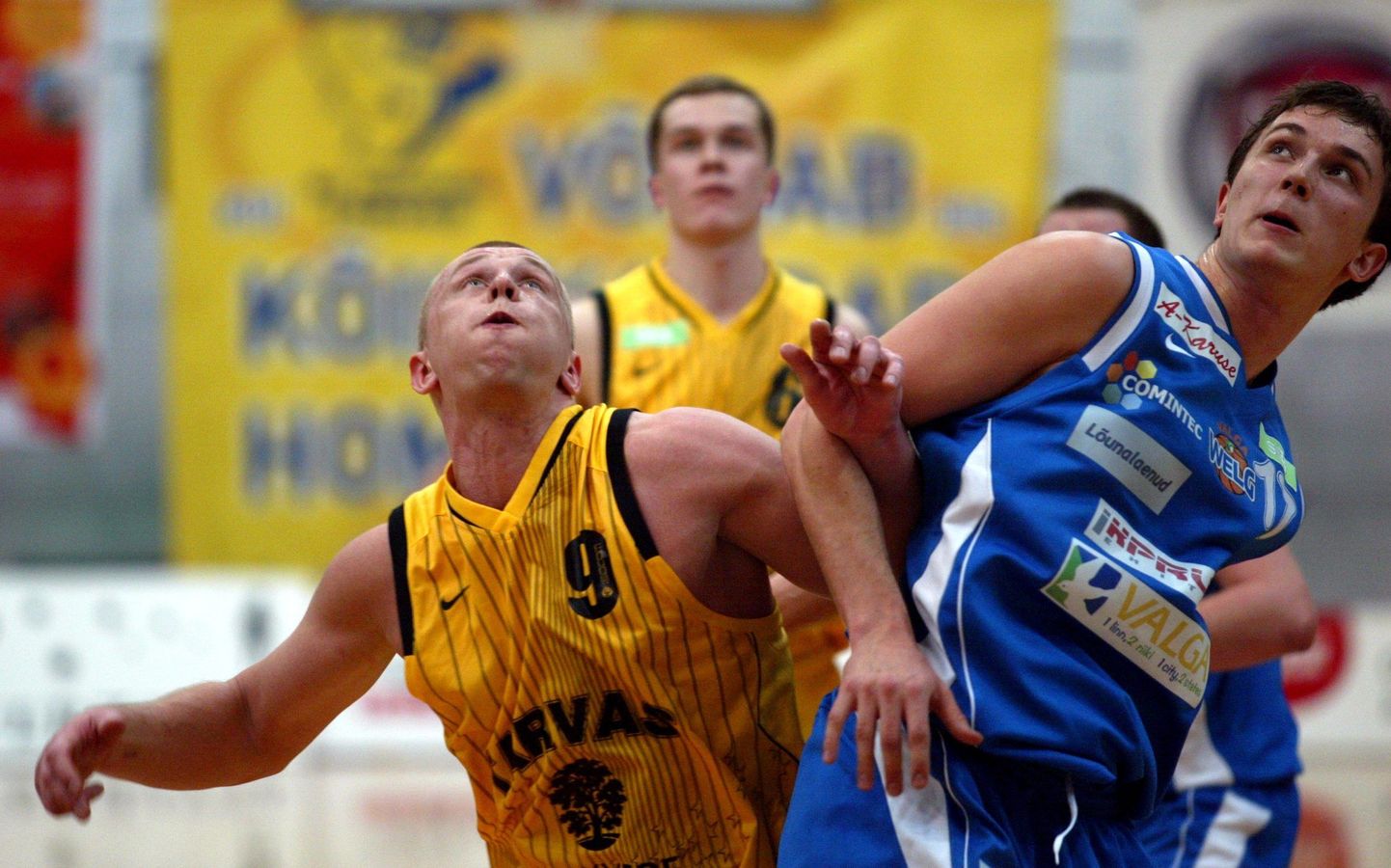 BC Rakvere Tarvas (kollases) Valga KK meeskonnaga heitlemas.