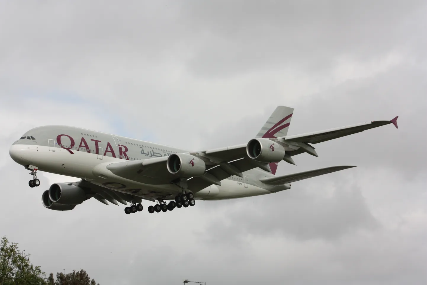 Tillukese maa kohta on Qatar Airways väga suur ja edukas lennufirma.