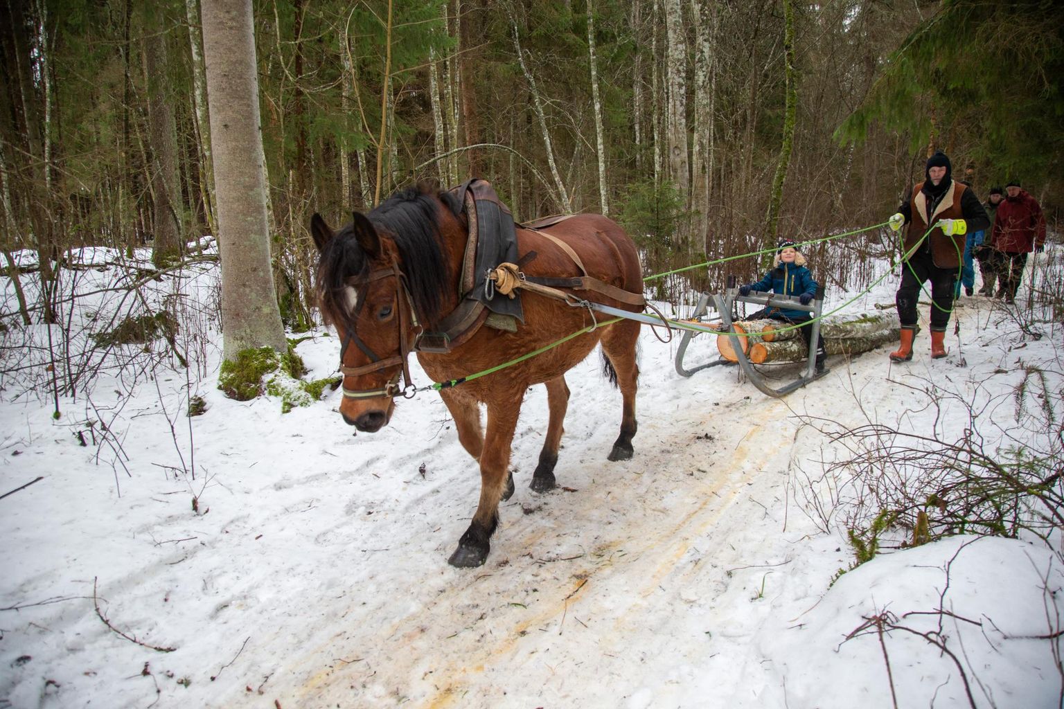 Jaanuari esimeses pooles peeti Viljandimaal hobumetsanduse kursust, Priit-Kalev Parts hobusega.

 