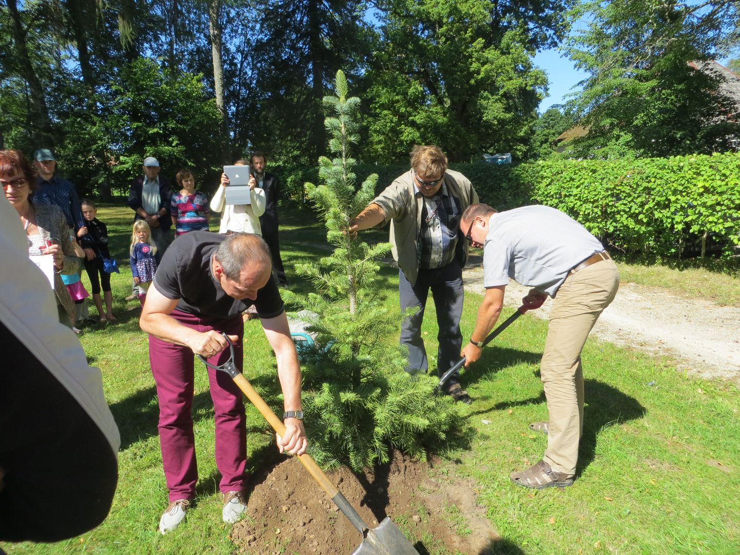 Hellenurme mõisaparki jääb sündmust meenutama mälestuspuu – hall nulg. Selle istutamise au osaliseks said Riho Västrik (vasakult), Kalev Lõhmus ja Erki Tammiksaar.
