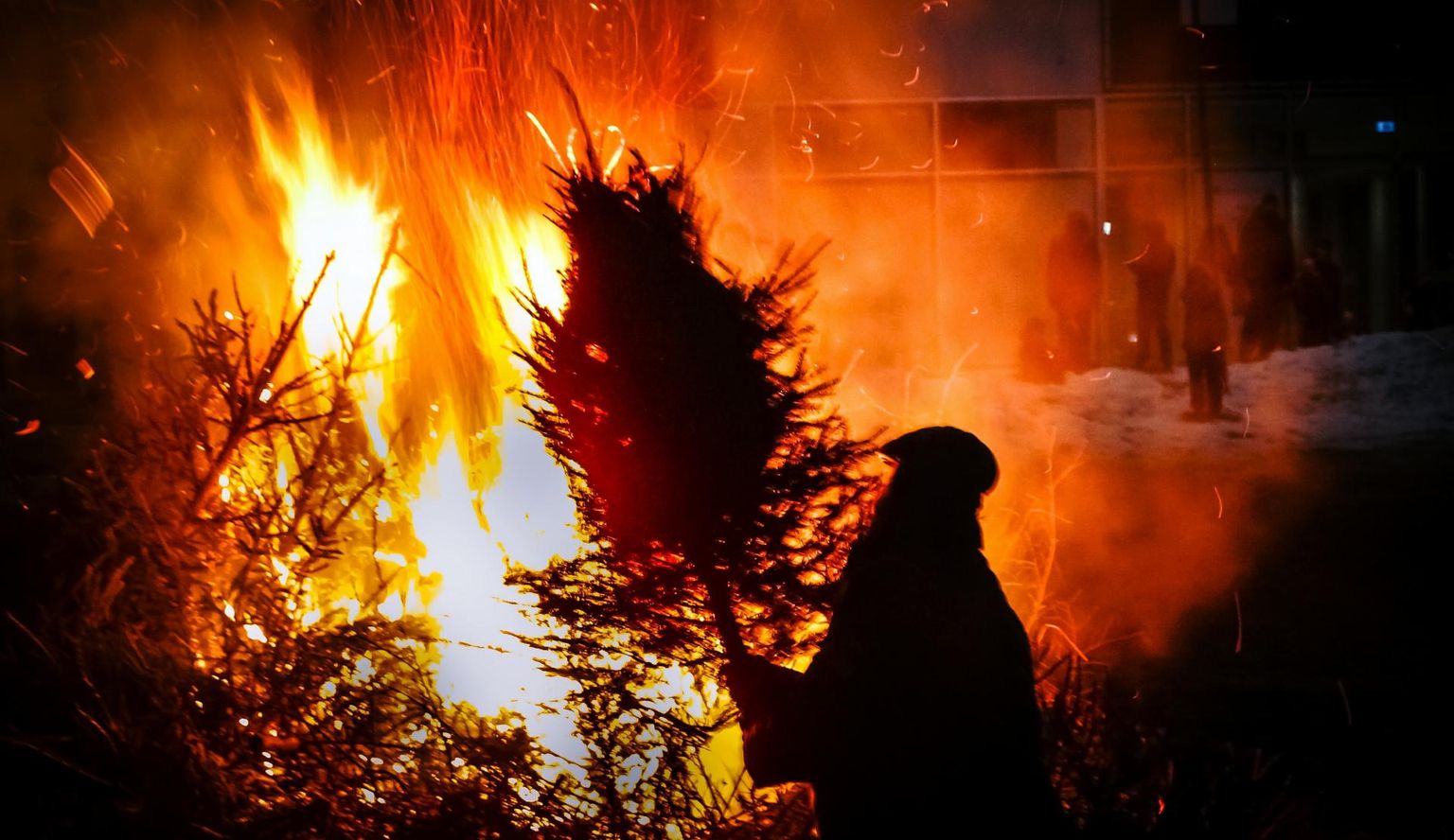 Tori vallas põletatakse jõulupuid reedel ja pühapäeval.