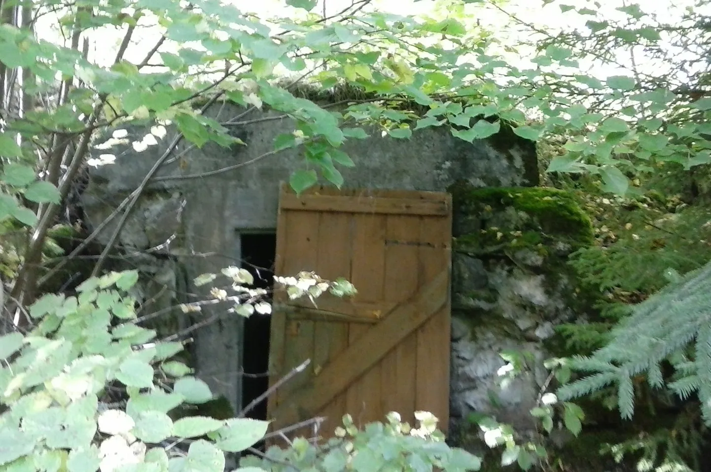 Maakivikelder, mis otsustati lammutada.
