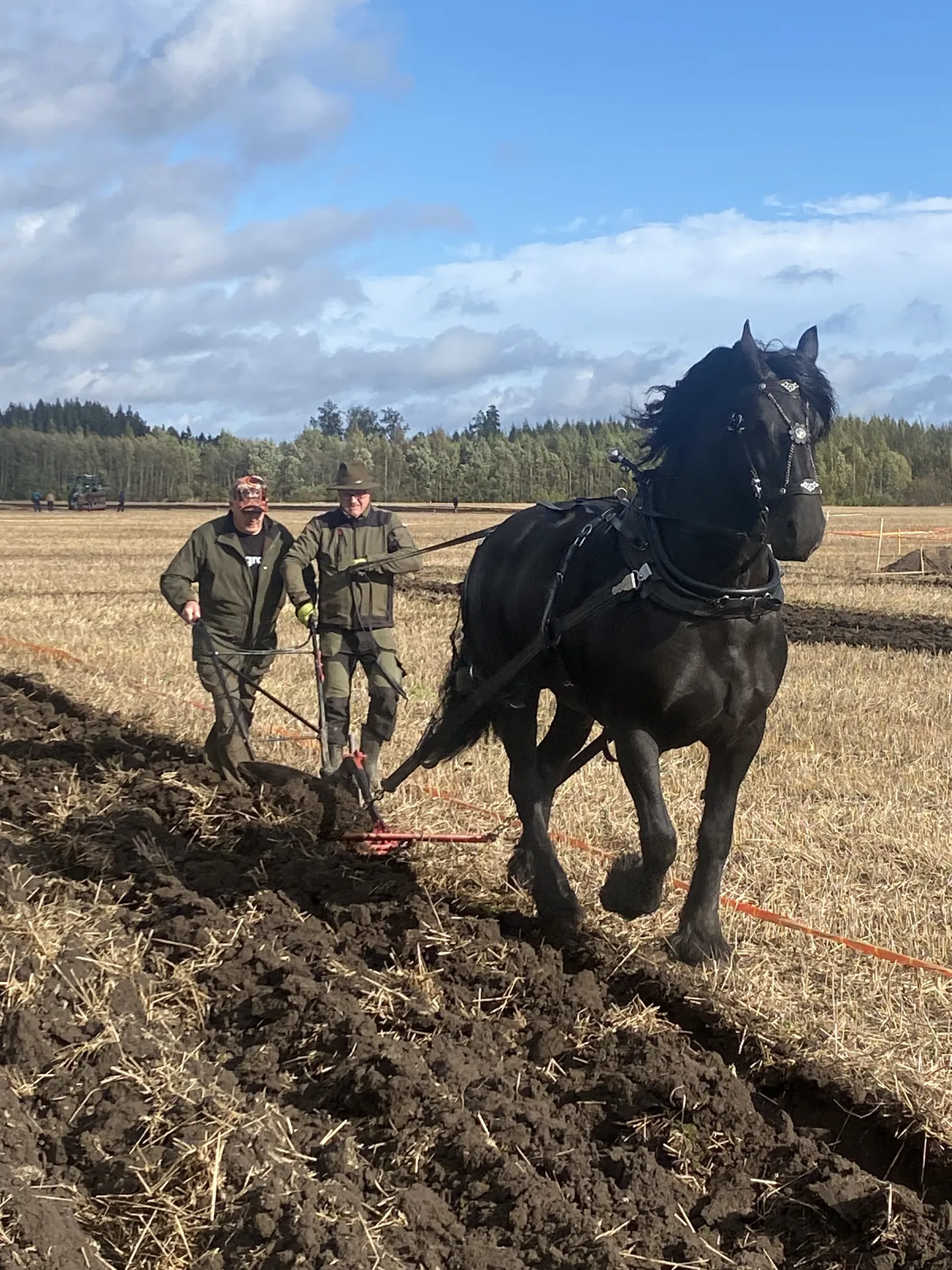 Künnab Valgamaa mees Kalmer Maasik, juhendab hobuseomanik Vello Tamm, atra veab friisi tõugu hobune Marleen, kes 2018. aastal tuli Soome meistriks hobukünnis.