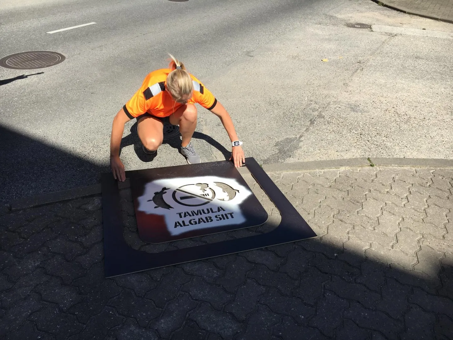 Sellised sildid ilmusid hiljuti Võru tänavatele.