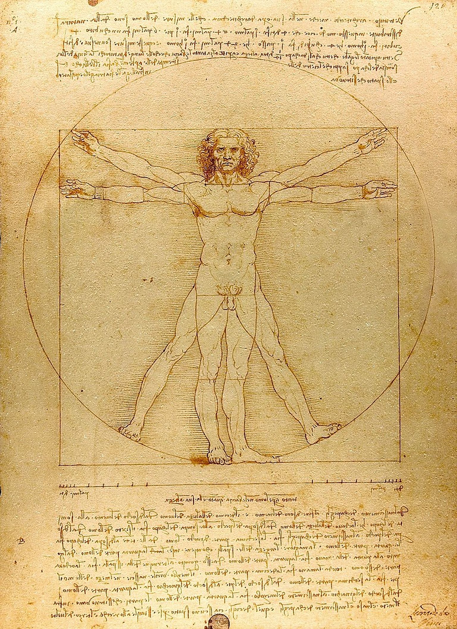 Leonardo da Vinči zīmējums "Vitrūvija Cilvēks".